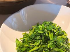 素炒豌豆尖-拾久(朝阳公园店)