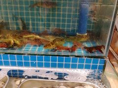-鹿客臻鲜海鲜自助餐厅(永旺店)