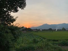 -黄牛肉馆·皖南土菜