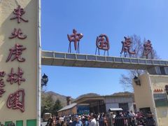 -横道河子东北虎林园