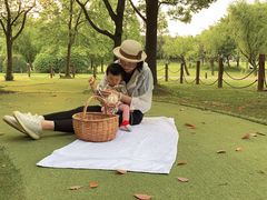 -上海佘山世茂艾美酒店
