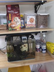 -巡鱼道·室内垂钓·渔具店