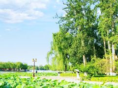 -济南大明湖景区