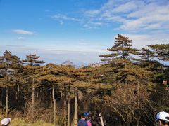 -黄山风景区