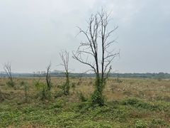 -永定河休闲森林公园