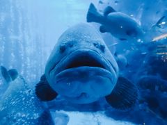 -成都浩海立方海洋公园