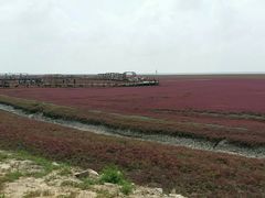-红海滩国家风景廊道
