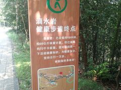 -滴水岩森林公园