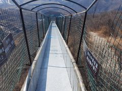 -黄金寨原生态旅游区