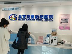-北京观赏动物医院·24小时大型综合·猫专科·异宠专科