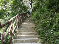 -鹿院坪生态旅游景区