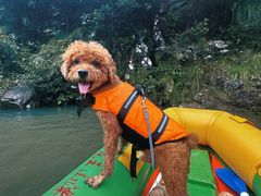 -安吉龙王山峡谷漂流