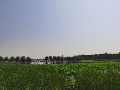 -长春市南湖公园