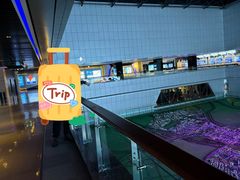 -哈尔滨规划展览馆