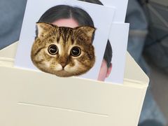 -白箱照相馆·外拍