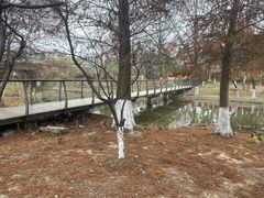 -长广溪湿地公园