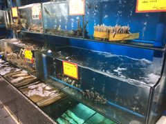 水产区-蚝专家(北滘店)