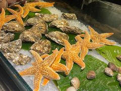 -唐拉雅秀酒店-西锦汇空中BBQ·思创餐厅