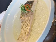 白水鱼-御锦天(外滩六号店)
