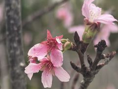 -大湾区中央湿地公园
