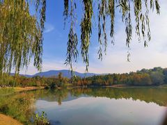 -紫金山山顶公园