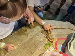 -酷嗒动物文化乐园(cutezoo西溪乐天城店)