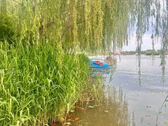 -白洋淀景区