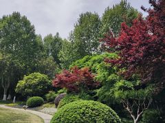 -明故宫遗址公园
