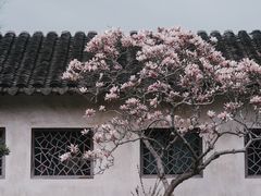 -留园