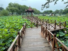 -稻香湖景欢乐岛温泉城堡
