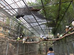 -呀路古热带植物园