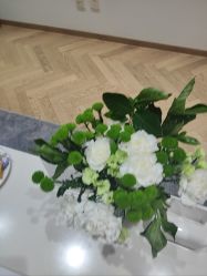 -HEYAN长风荷妍专业脱毛美肤
