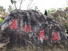 -广州市流溪河国家森林公园