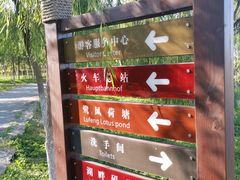 -西青郊野公园