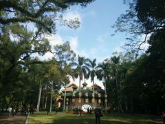-中山大学学者灵芝(园南路店)