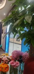 点击看大图 -伊然美产后恢复中心(海珠妇幼店)