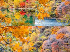 -叠溪松坪沟景区