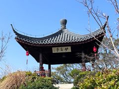 -江心屿景区