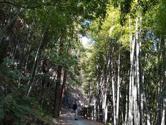-东天目山风景区