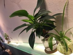 -红小满休闲餐厅(十全街店)