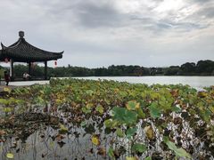 -常熟方塔园