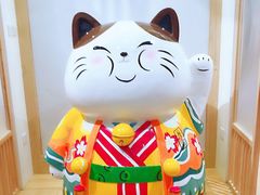 -屋虎猫馆(宝安大仟里店)