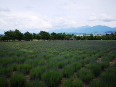 -富田农场