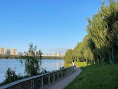 -长白岛森林公园