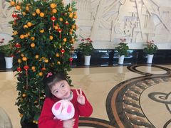 -张家港华芳金陵国际酒店