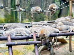 -杭州野生动物世界