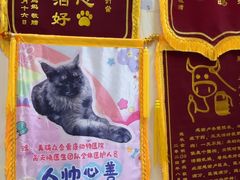 -美联众合爱康动物医院•复杂内科•肿瘤科•牙科•腔镜诊疗中心