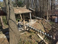 -东湖落雁景区