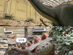 -国家自然博物馆