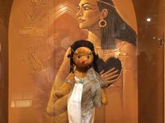 -济州岛泰迪熊博物馆